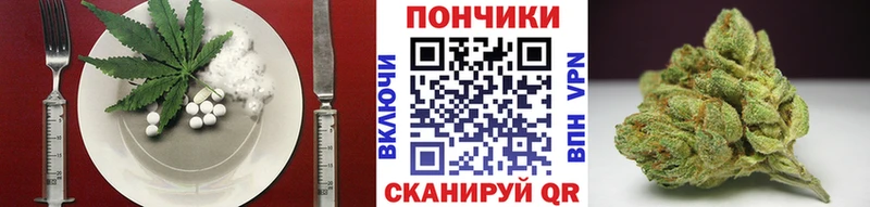 Купить  Красный Кут  Canna-Cookies марихуана 