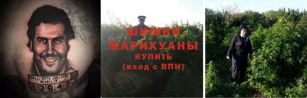 стафф Балахна